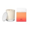 Ecoya Blood Orange Mini Madison Jar Candle 80g