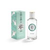 Roger & Gallet Heritage Collection The Vert EDT 100ml