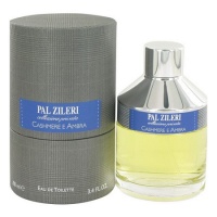 Pal Zileri Collezione Privata Cashmere E Ambra