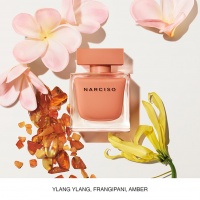 Narciso Rodriguez Ambree