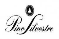 Pino Silvestre